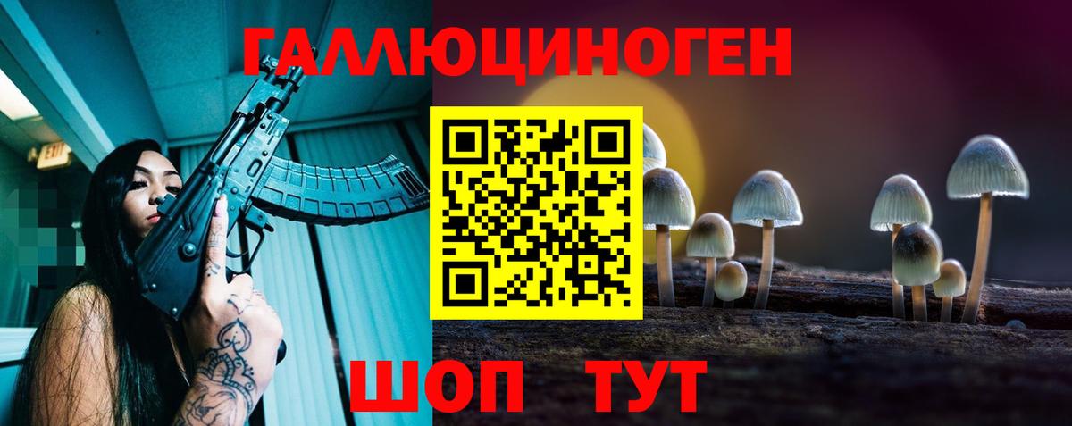 дарнет шоп  Вход с VPN  Медногорск  Галлюциногенные грибы прущие грибы 